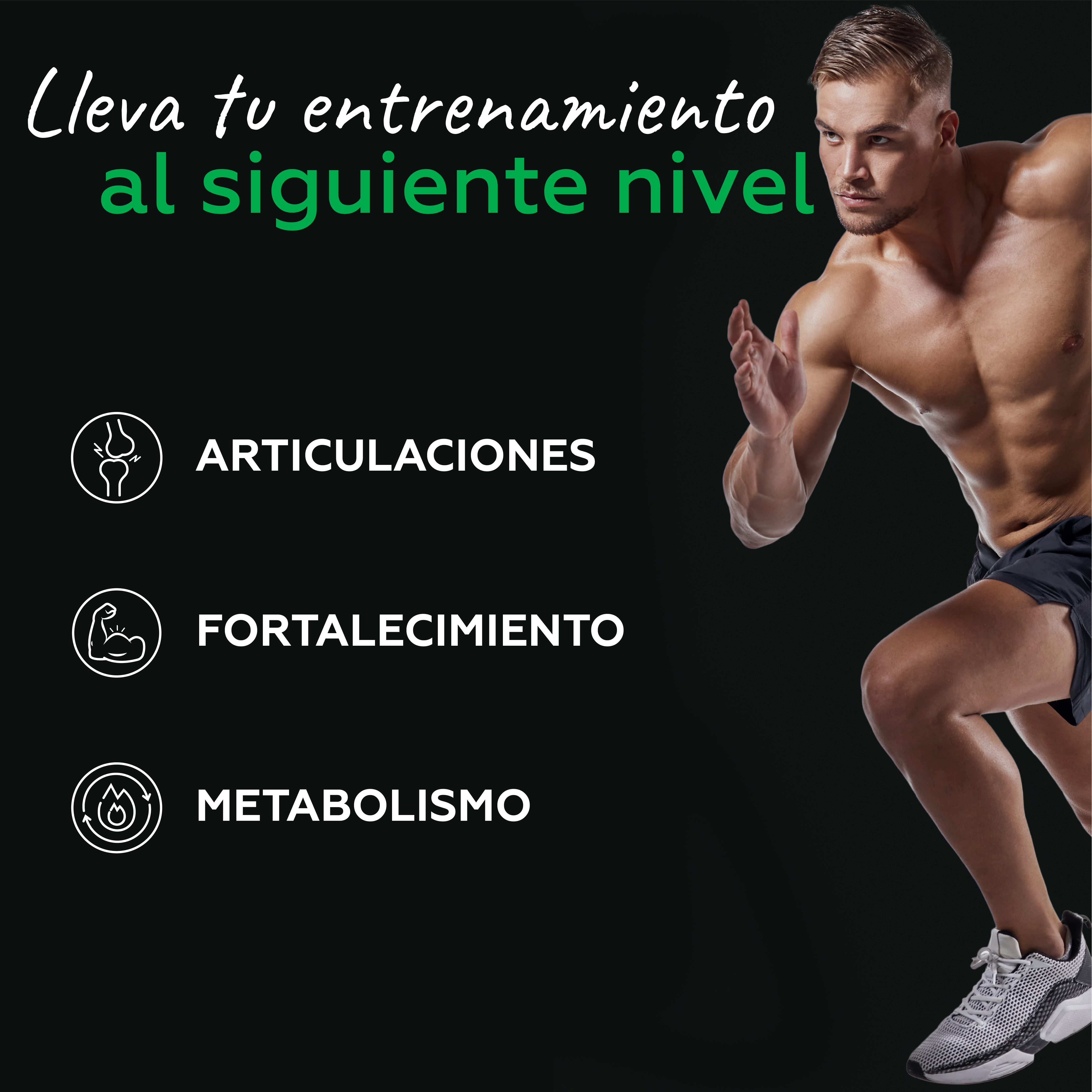 Joint Support: Colágeno Hidrolizado Puro (sin sabor)