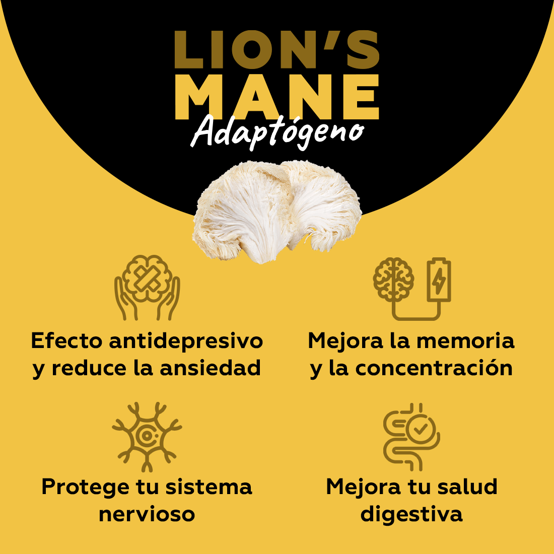 Lion's Mane - Adaptógeno (concentración)